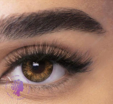 لنز رنگی روزانه  عسلی، فندقی Lens Pure Hazel