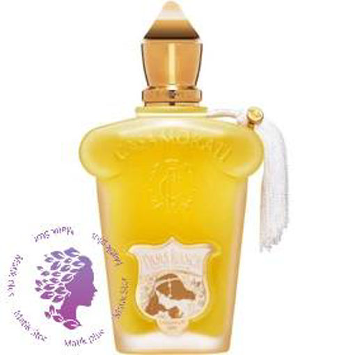 عطر و ادکلن داما بیانکا های کپی dama bianca