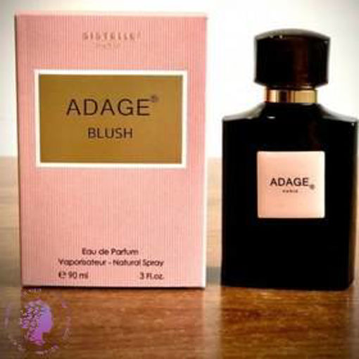 عطر ادکلن زنانه ادیج بلوش   ADAGE BLUSH