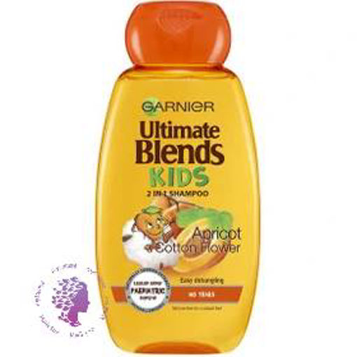 شامپو کودک  مدل Apricot and cotton flower 2 in 1 حجم 250 میلی لیتر