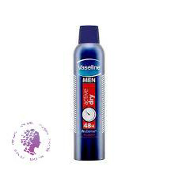 اسپری ضد تعریق مردانه مدل Active Dry حجم 250 میلی لیتر