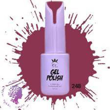 لاک ژل 10 میل شماره248